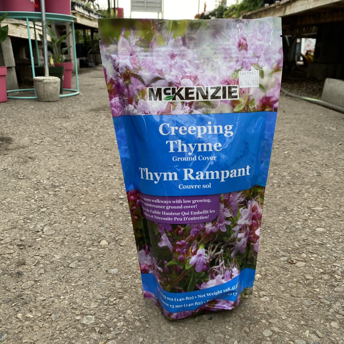 Where To Buy Red Creeping Thyme Seeds