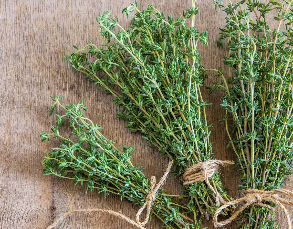 Where To Get Thyme