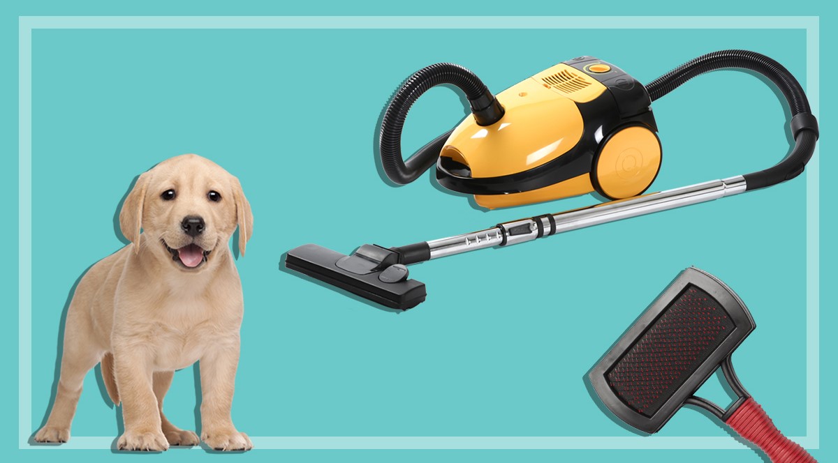 10 Amazing Pet Vacuum Cleaner For 2023