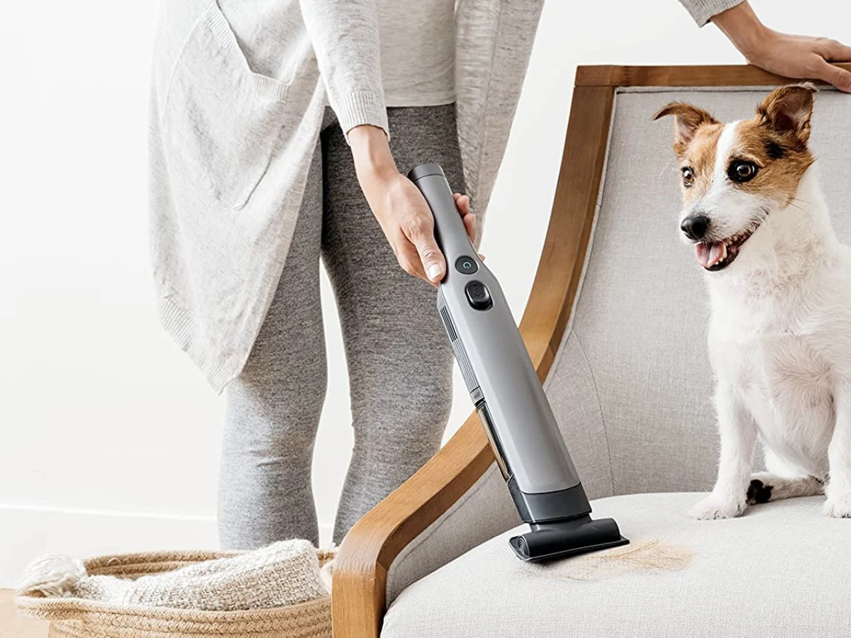 10 Best Vacuum Cleaner Pet Hair For 2023 Storables