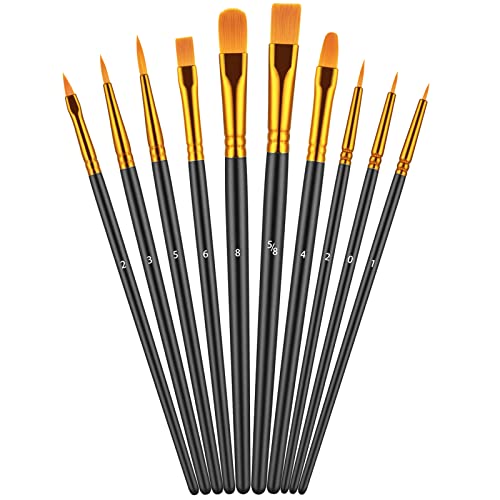 10 Pcs Paint Brush Set for Acrylic Painting