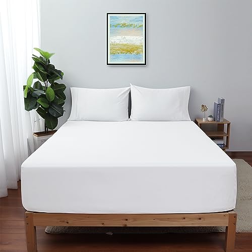 600 TC Egyptian Cotton Queen Size Fitted Sheet - White" by Shunjie.Home