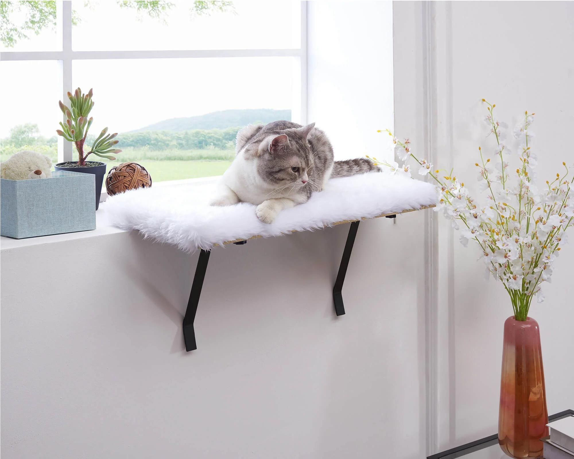 11 Amazing Cat Window Seat Perch For 2024