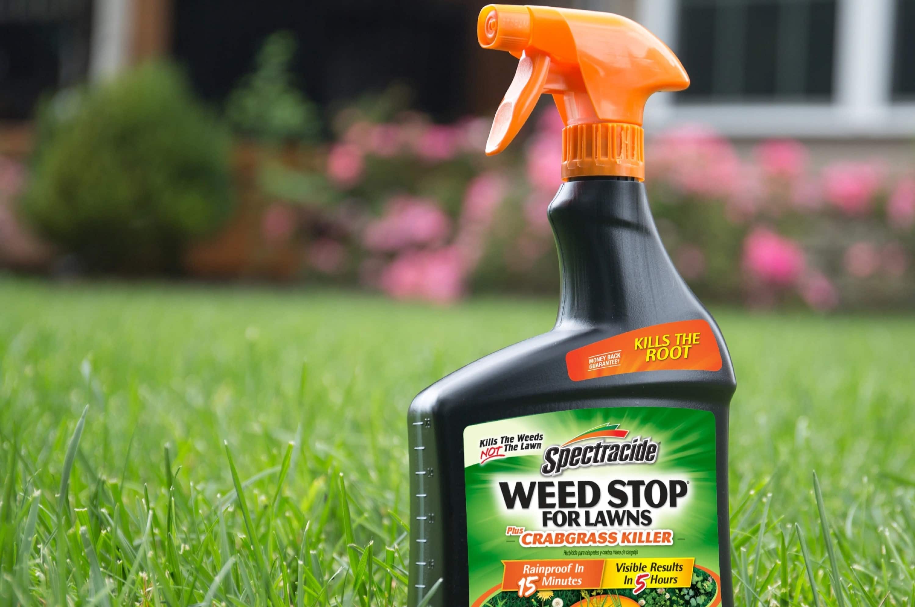 11 Best Spectracide Weed Stop For Lawns Plus Crabgrass Killer For 2023