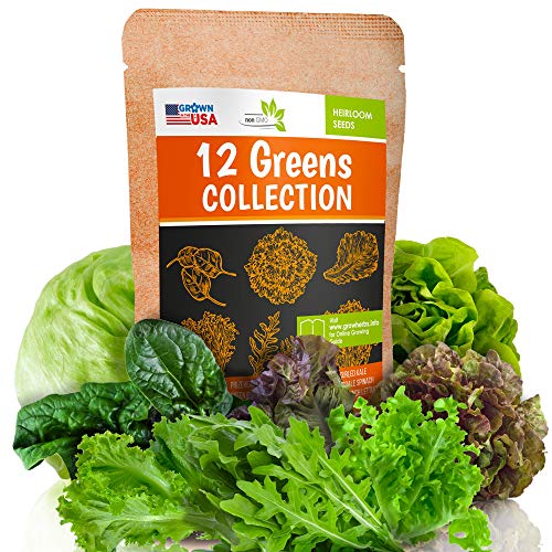 12 Lettuce and Greens Seed Pack