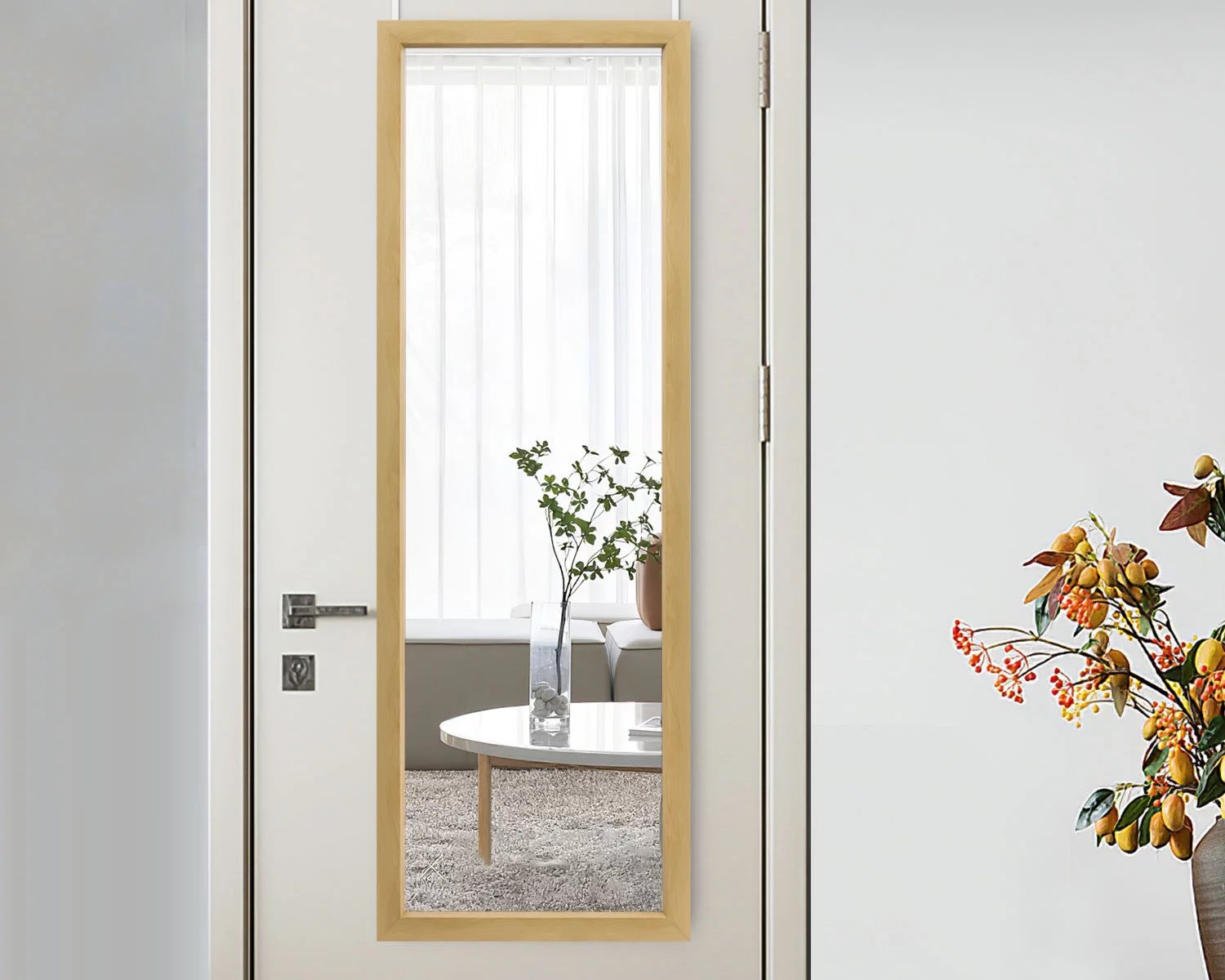12 Unbelievable Door Mirrors For Bedroom Full Length for 2024