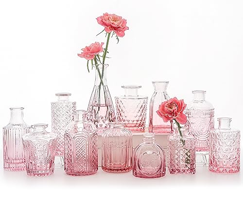12Pcs Glass Bud Vase Set for Rustic Wedding Decorations
