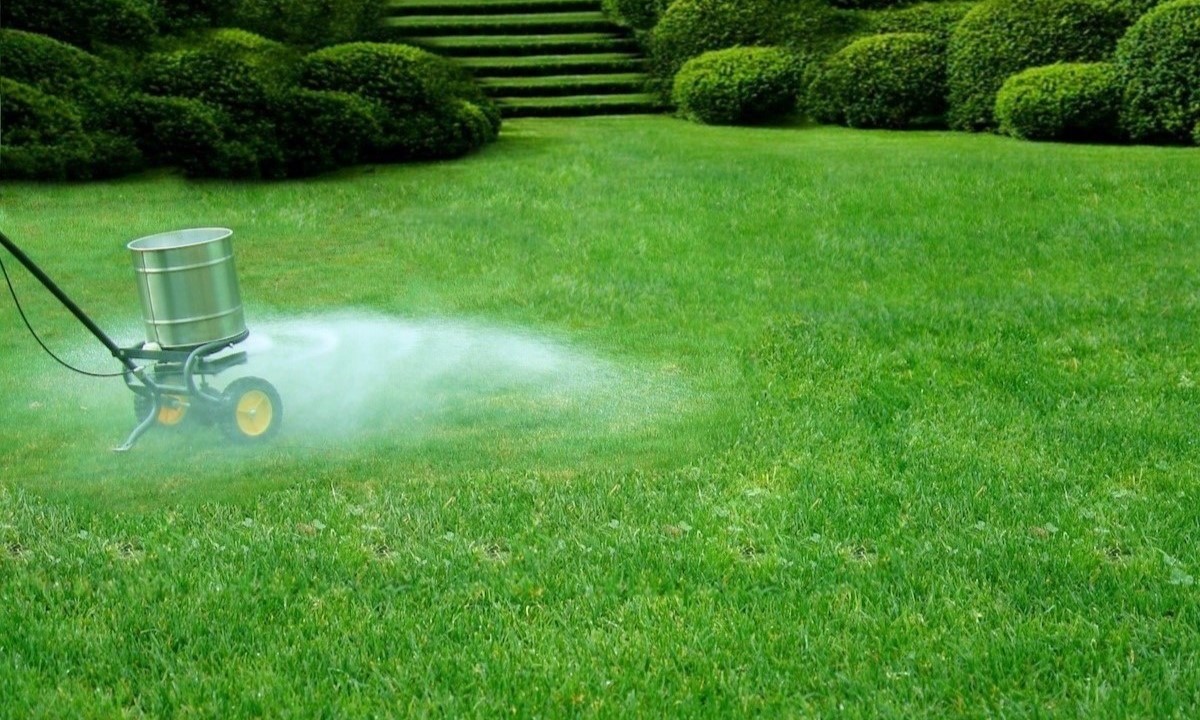 13 Best Lime For Lawns For 2023