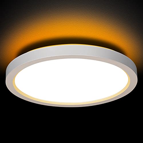 13 Inch LED Flush Mount Ceiling Light