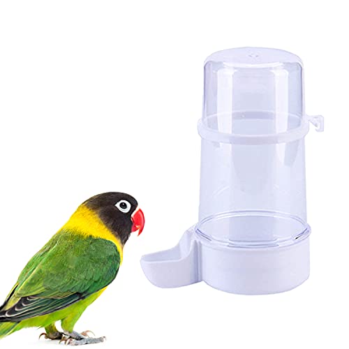 13.5 Oz Parrot Water Dispenser