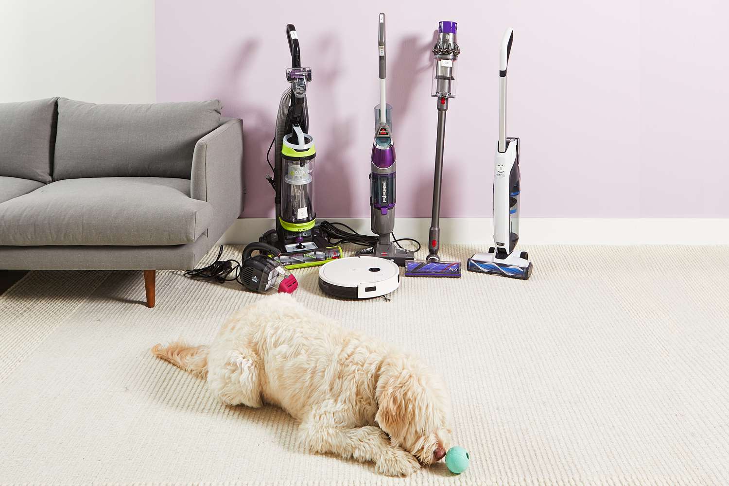 14 Best Vacuum Cleaner For Pet Hair For 2023
