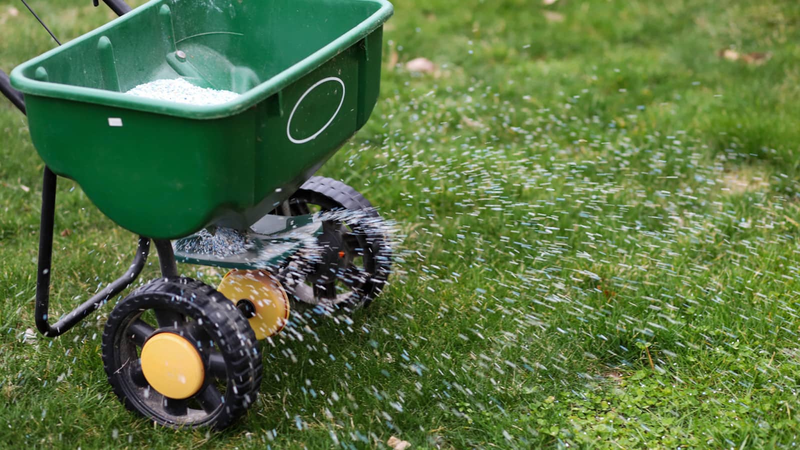 15 Amazing Seed Spreaders For Lawns For 2023