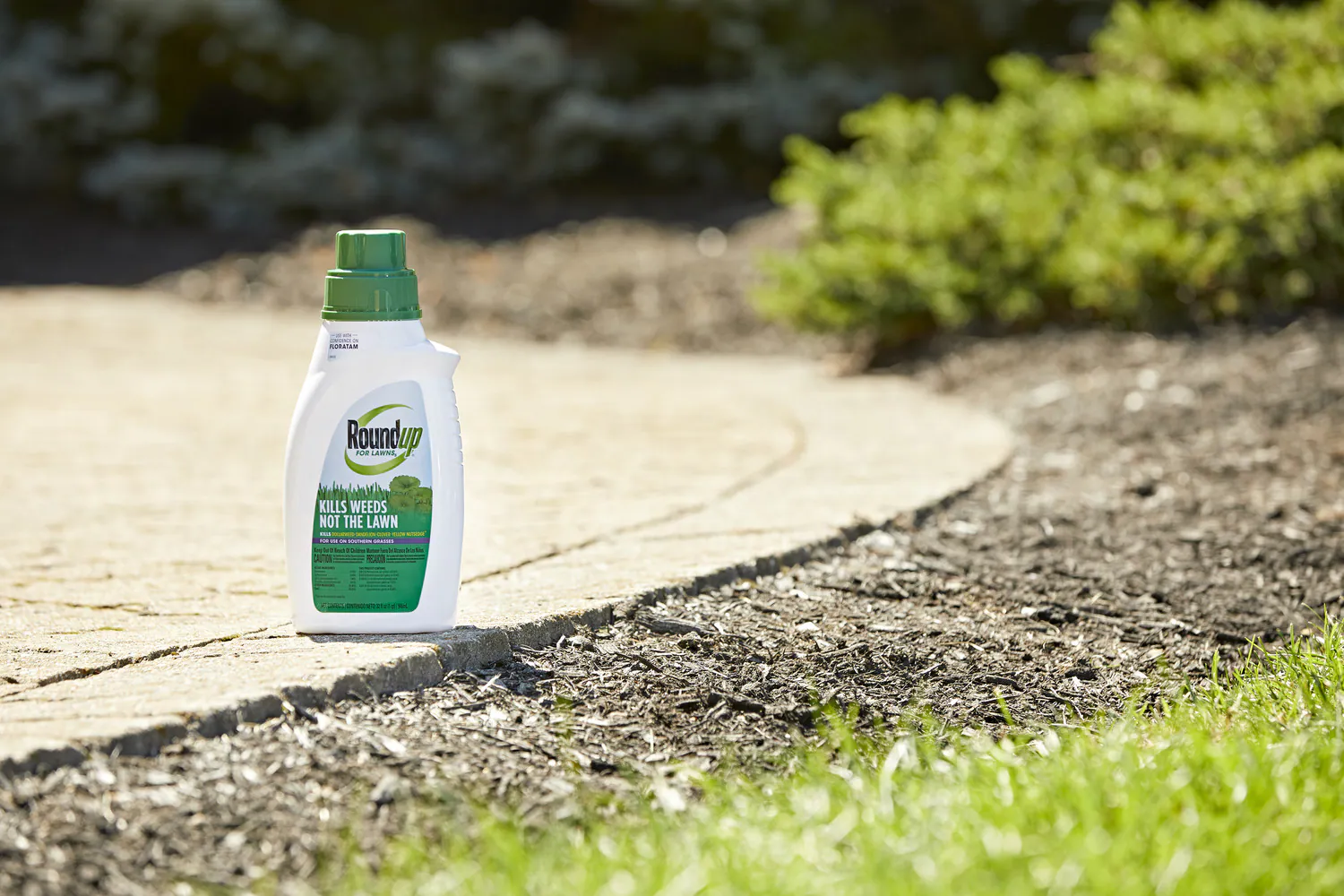 15 Best Roundup For Lawns Southern For 2023