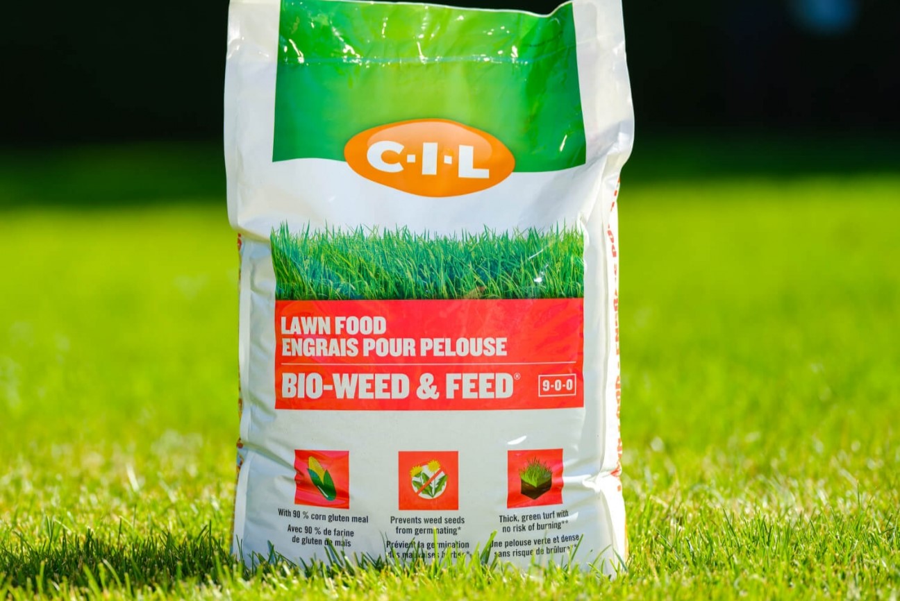 15 Best Weed & Feed For Lawns For 2023