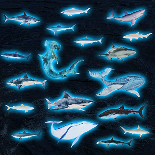 Shark Peel Removable Wall Decals: Sea Theme Glow in the Dark