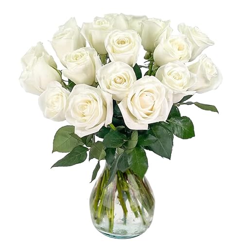 18 White Roses Fresh Flower Bouquet with Vase
