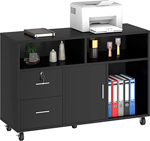 2 Drawer Mobile Lateral Storage Cabinet Printer Stand