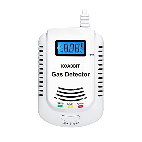 2-in-1 Gas and Carbon Monoxide Detector