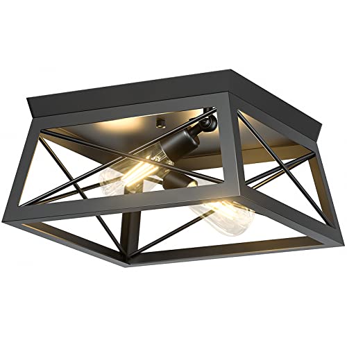 2-Light Industrial Ceiling Light Fixture