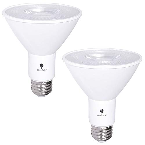 Bluex Bulbs Outdoor LED Flood Light: 12W, 900 Lumens, Dimmable, Waterproof