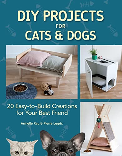 20 Easy-to-Build Creations for Your Best Friend