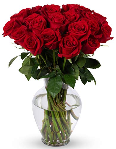24 Stem Red Roses Bouquet