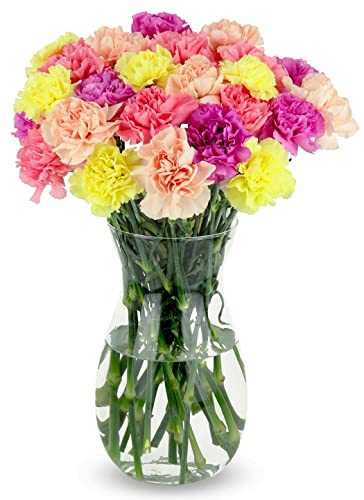 25 Stem Pastel Carnations Bouquet