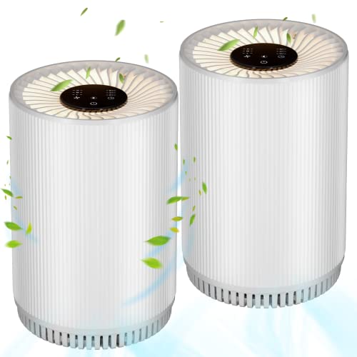 2Pack Druiap Air Purifiers: Powerful and Quiet Filtration for Clean Indoor Air