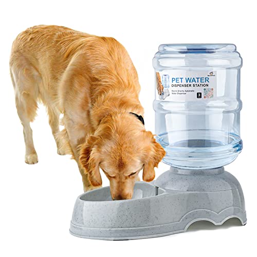 3 Gallon Dog Water Dispenser