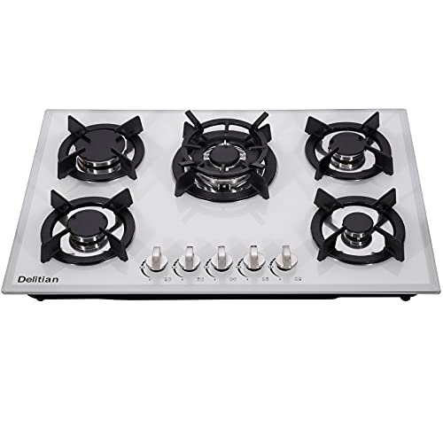 12 Best Cooktop Burner For 2024