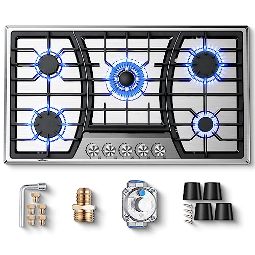 Gas Cooktop 12 inch Eascookchef Bulit-in Gas Stove Top 2 Burners NG/LPG  Convertible Dual Burners