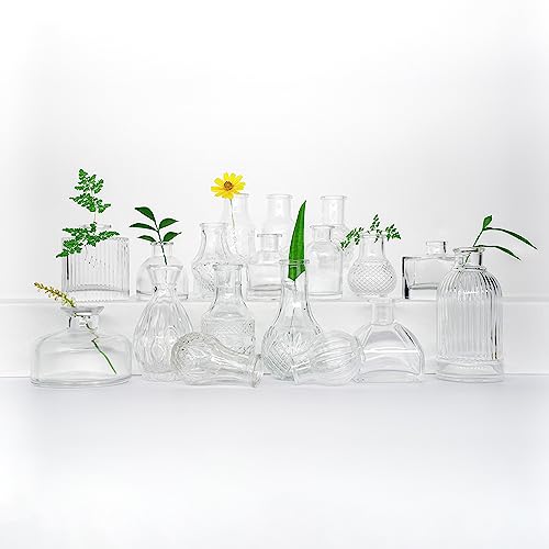 36-Piece Glass Bud Vases for Home Decor and Events
