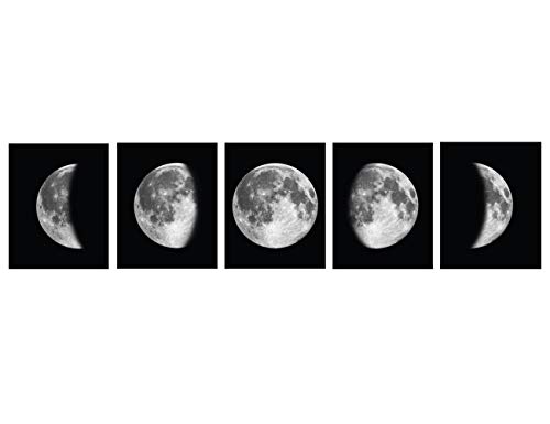 Abstract Black and White Lunar Moon Wall Decor" by Kanora