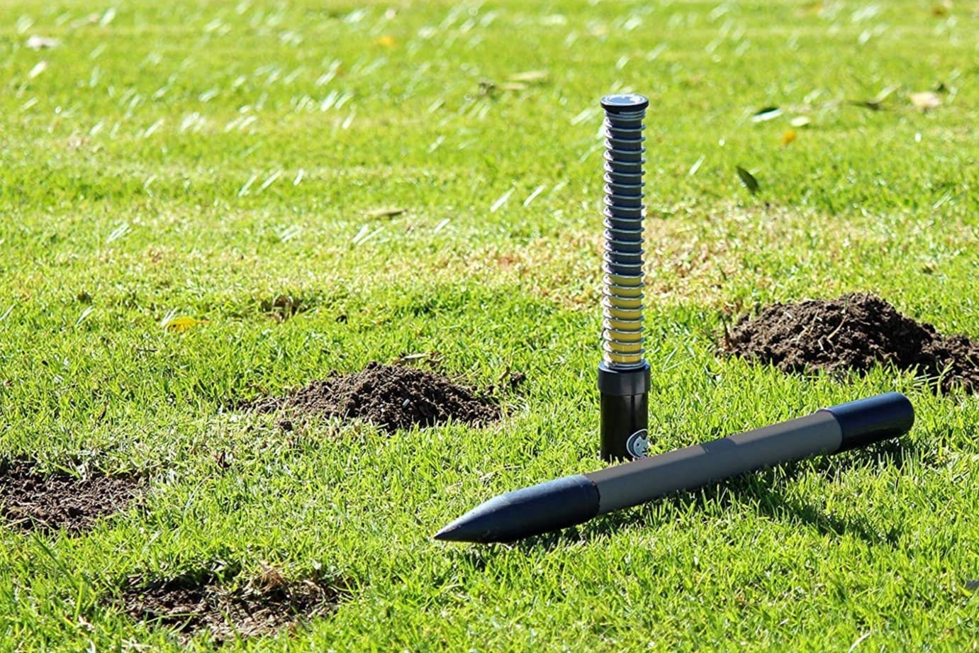 8 Amazing Mole Killer For Lawns For 2023