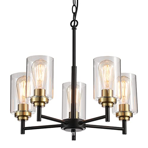 9MMML Modern Black and Gold Chandelier for Kitchen, Dining, and Living Room