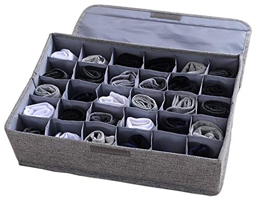 AARAINBOW Foldable Underwear & Socks Storage Box, 30 Cell Organizer