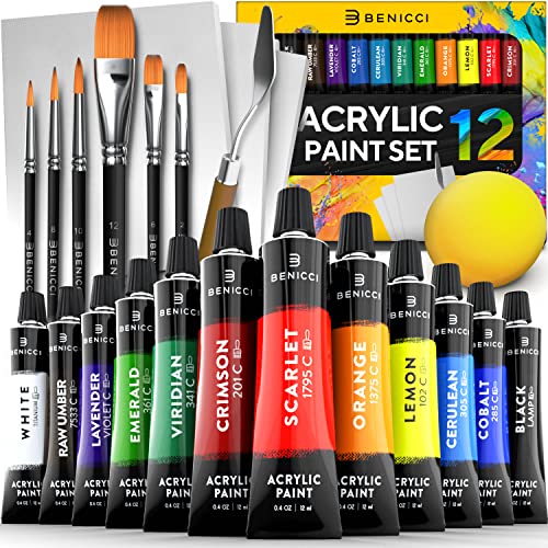 Acrylic Paint Set - 12 Vibrant Colors, 6 Brushes, 3 Paint Canvases
