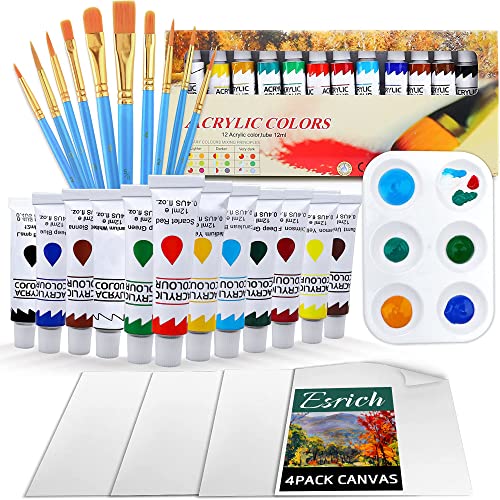 ESRICH Acrylic Painting Kit: 10 Brushes, 12 Colors, 4 Canvases