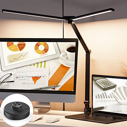 Adjustable LED Desk Light