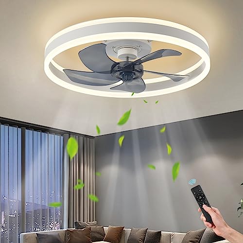 AHAWILL Modern Ceiling Fan with Light