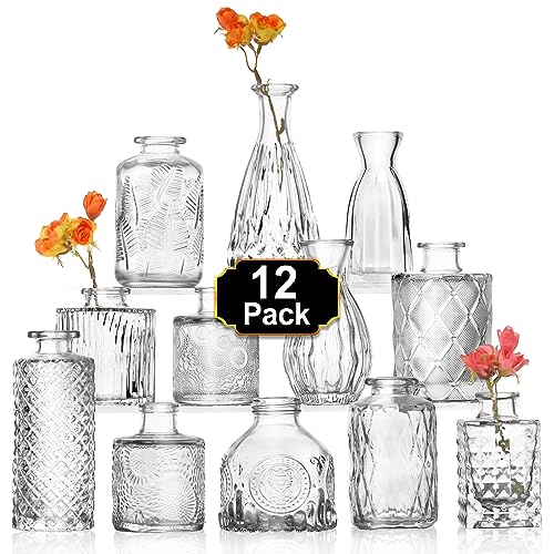 Aheroi Glass Bud Vase Set of 12
