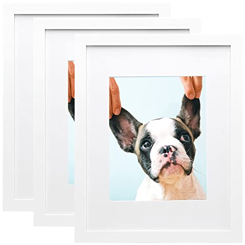 AINAHYVA 8x10 Picture Frame Set of 3