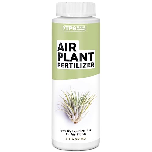 10 Best Air Plant Fertilizer for 2024 Storables