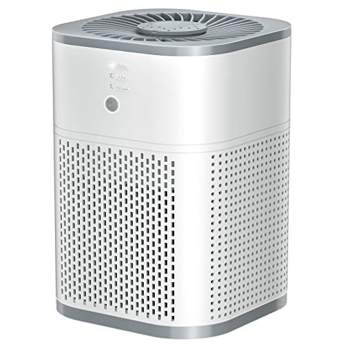 Air Purifiers for Bedroom with H13 True HEPA Filter