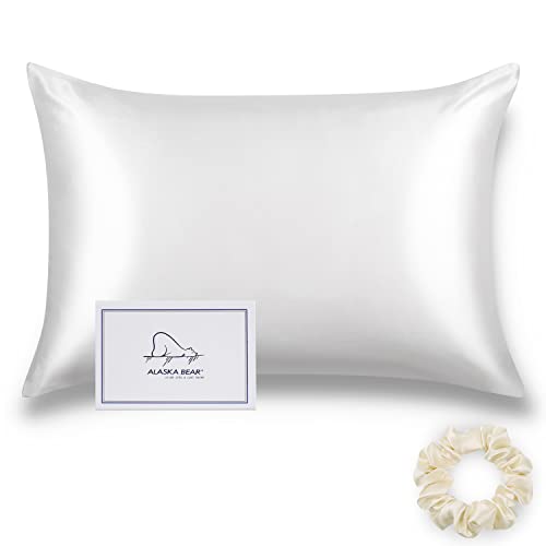 ALASKA BEAR 22 Momme 100% Mulberry Silk Pillow Case, Queen Size, Cool White