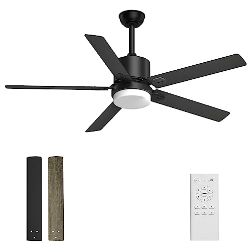 alescu Black Ceiling Fans with Lights