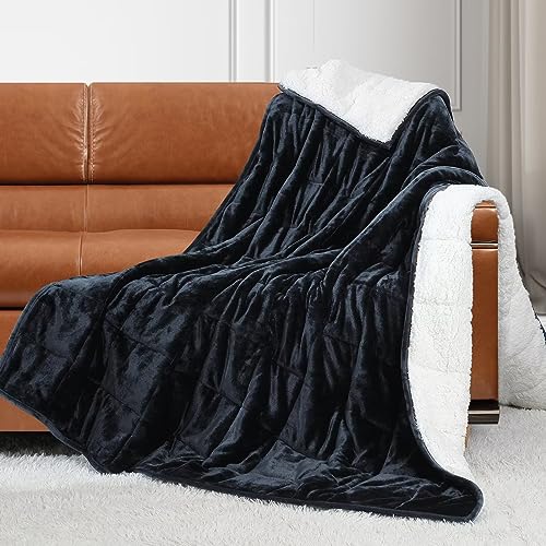 Alomidds Twin Size Weighted Blanket