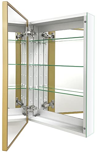 Aluminum Medicine Cabinet with Farmhouse Gold Frame