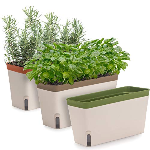 Rectangular Self-Watering Window Herb Planter for Indoor Gardens