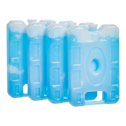 Amazon Basics Ice Pack 4-Pack